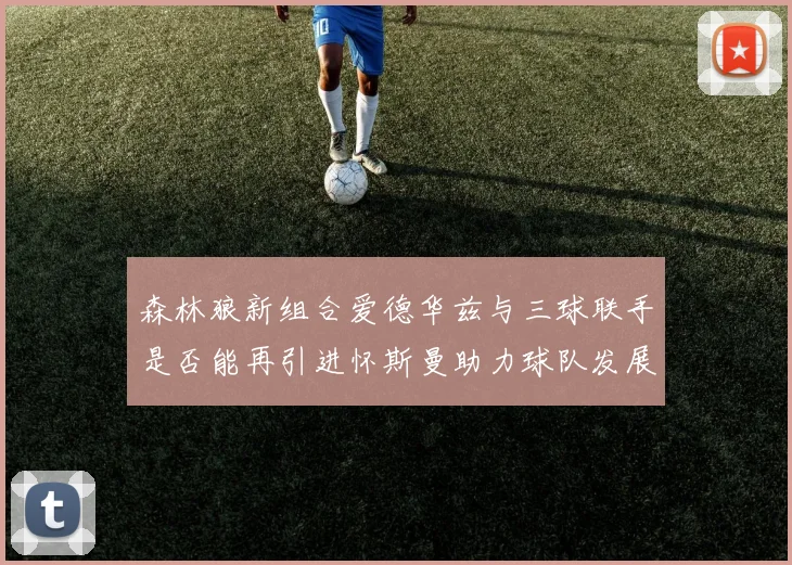 森林狼新组合爱德华兹与三球联手是否能再引进怀斯曼助力球队发展