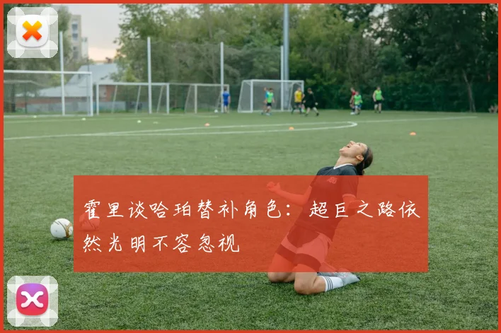 霍里谈哈珀替补角色：超巨之路依然光明不容忽视